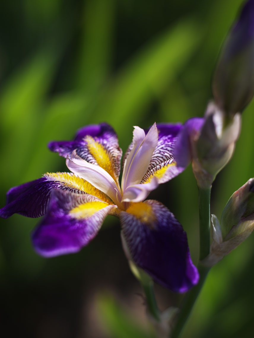 details_023